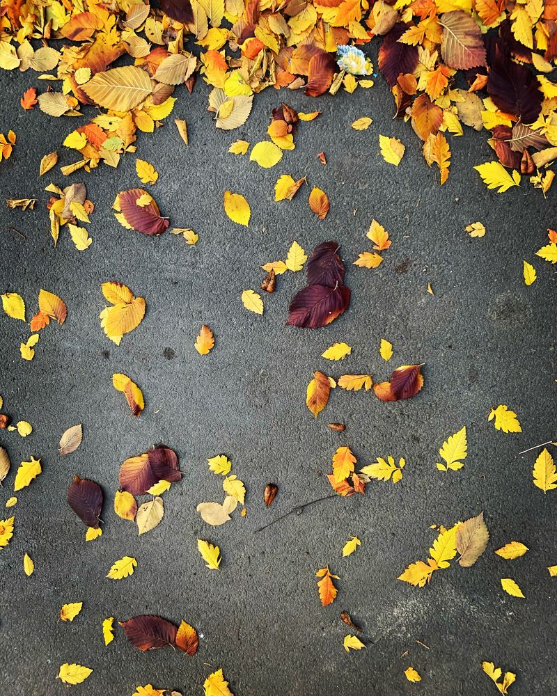 Photograph by Ольга Шестакова