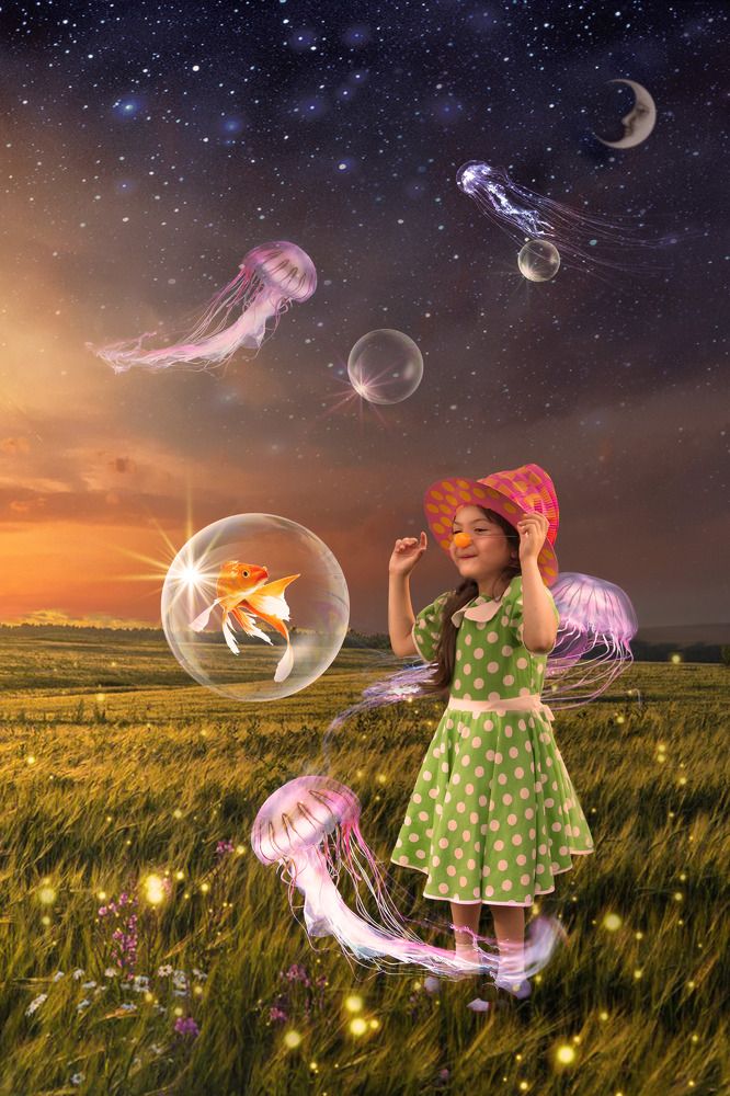 Фотография автора Александр Заикин