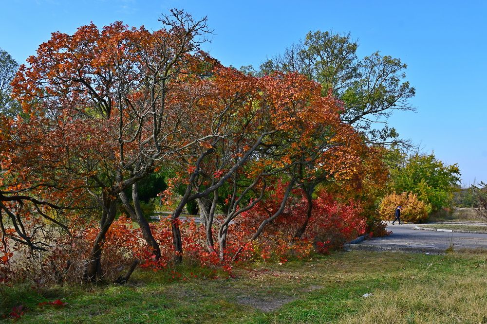 Photograph by Бахарева Людмила