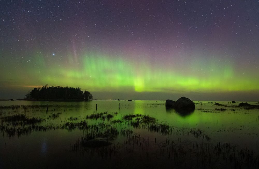 Photograph by Элвис Антсон