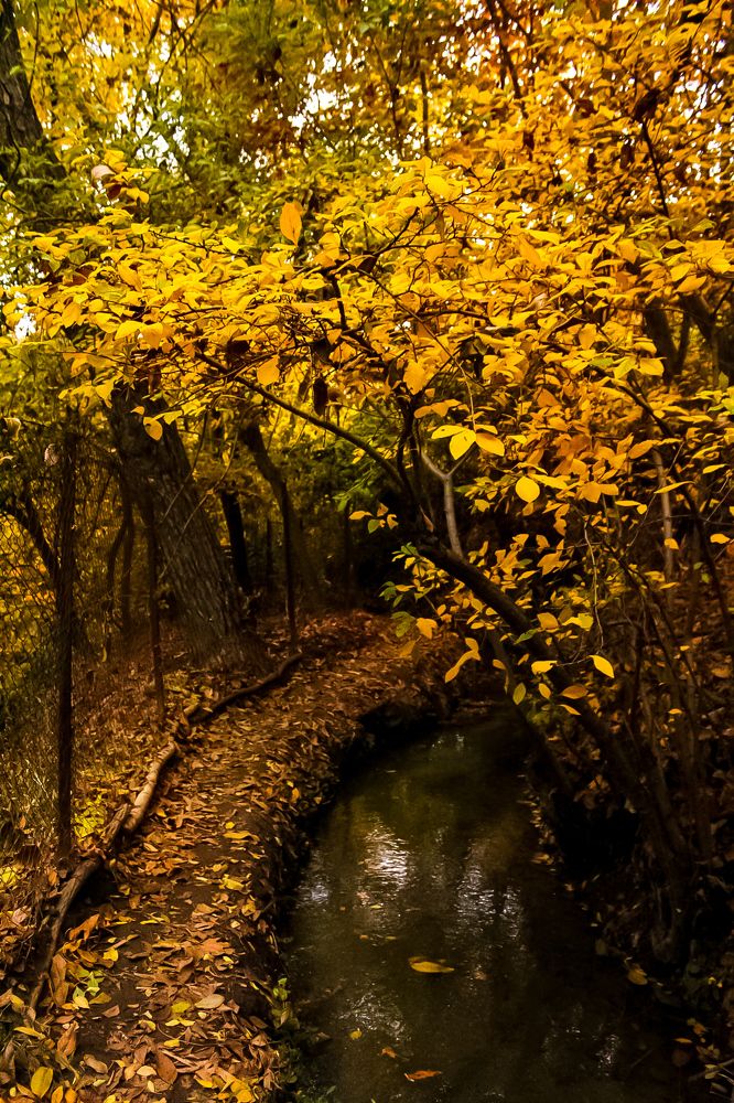 Photograph by farzad talanavard