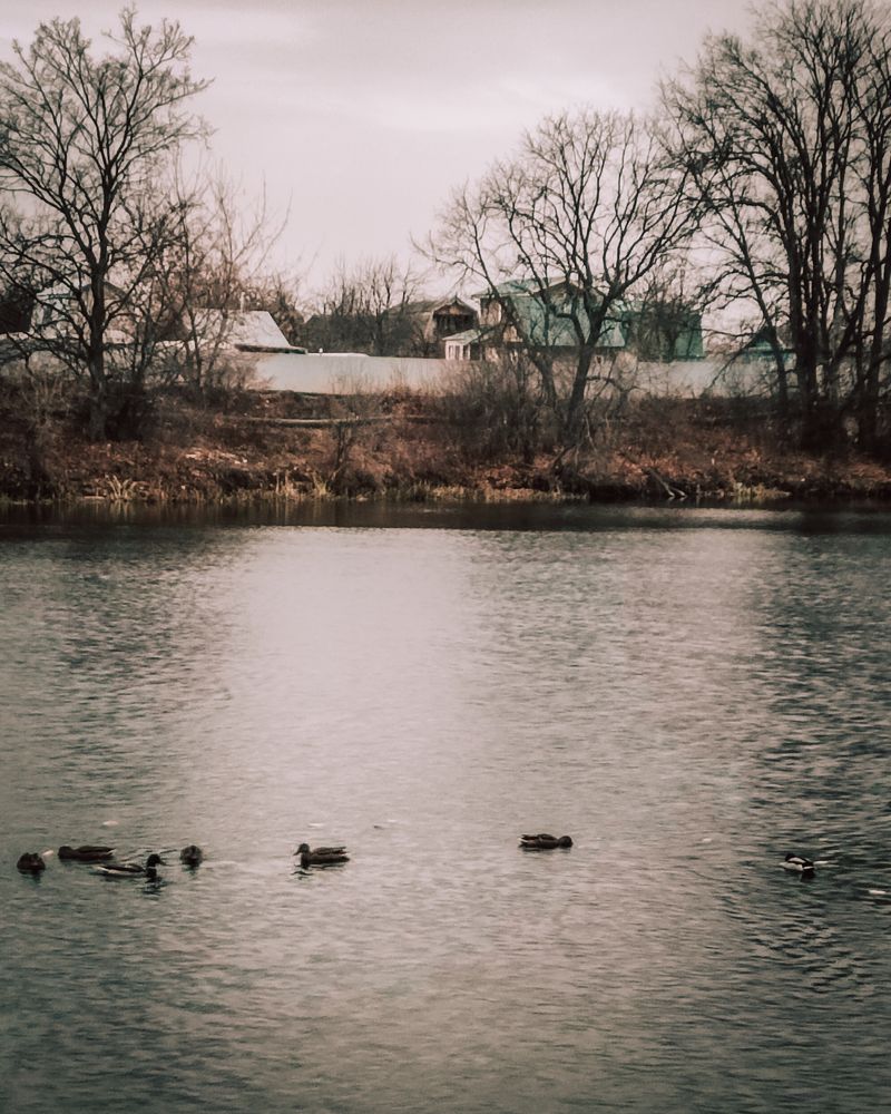 Photograph by Татьяна