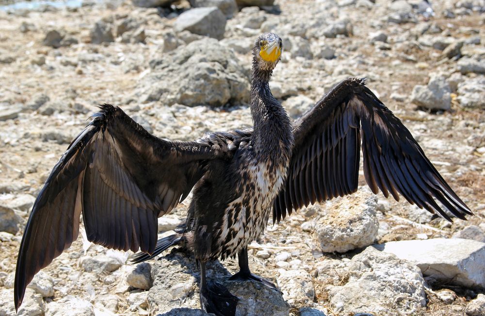 Photograph by Сергей Иванов