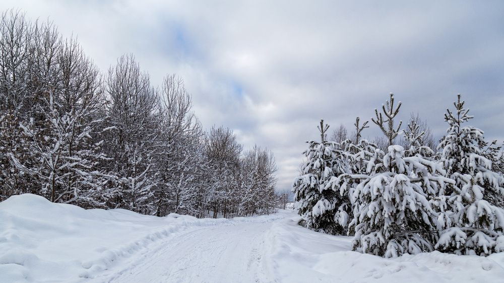 Фотография автора Леонид Никитин