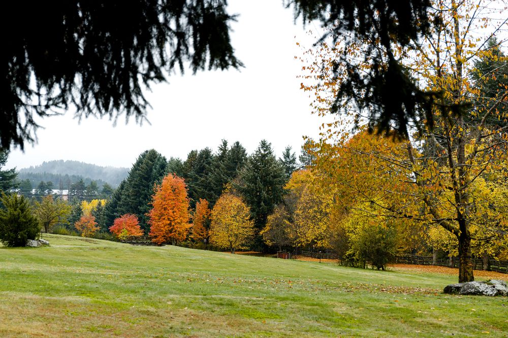 Фотография автора Summerlin