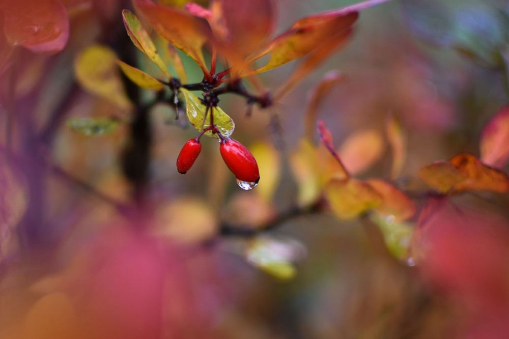 Photograph by Роман