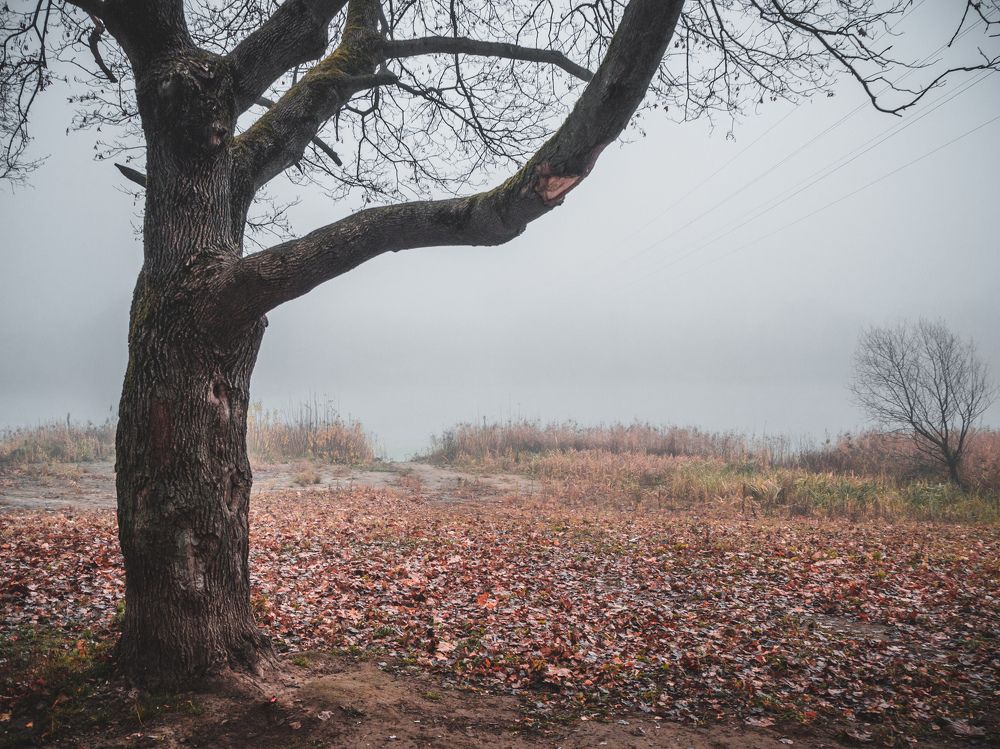 Photograph by Pavel Lukyanov