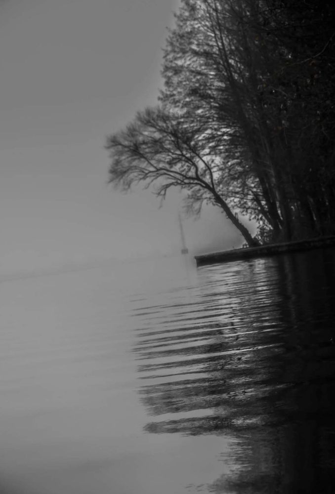 Photograph by Александр Натальин