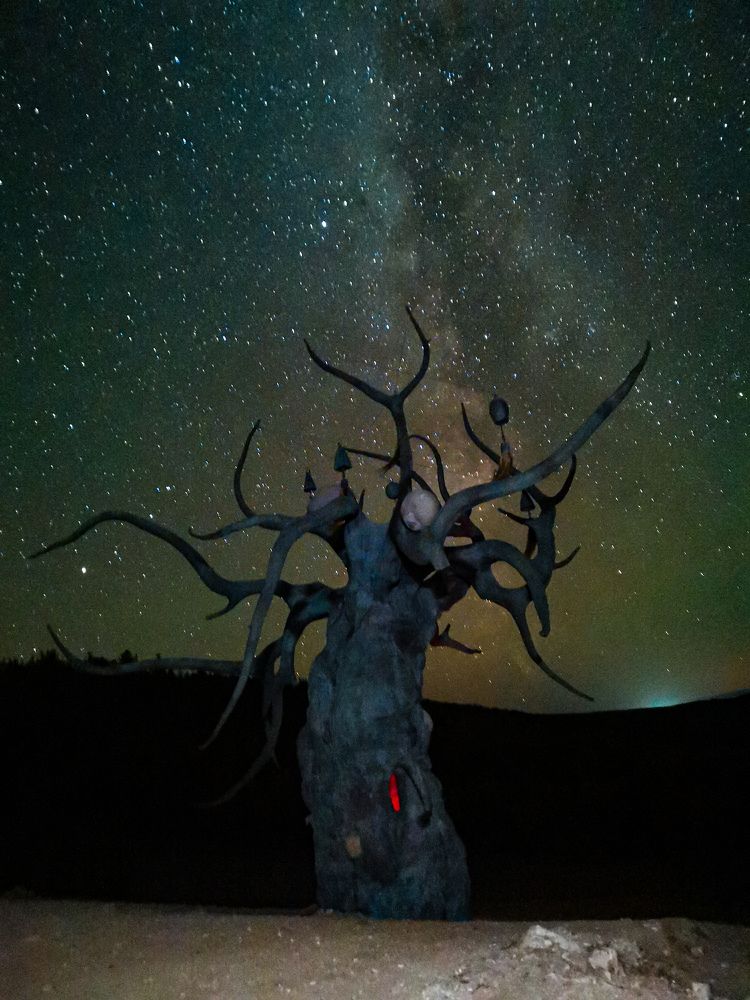 Photograph by Анна Мезенцева