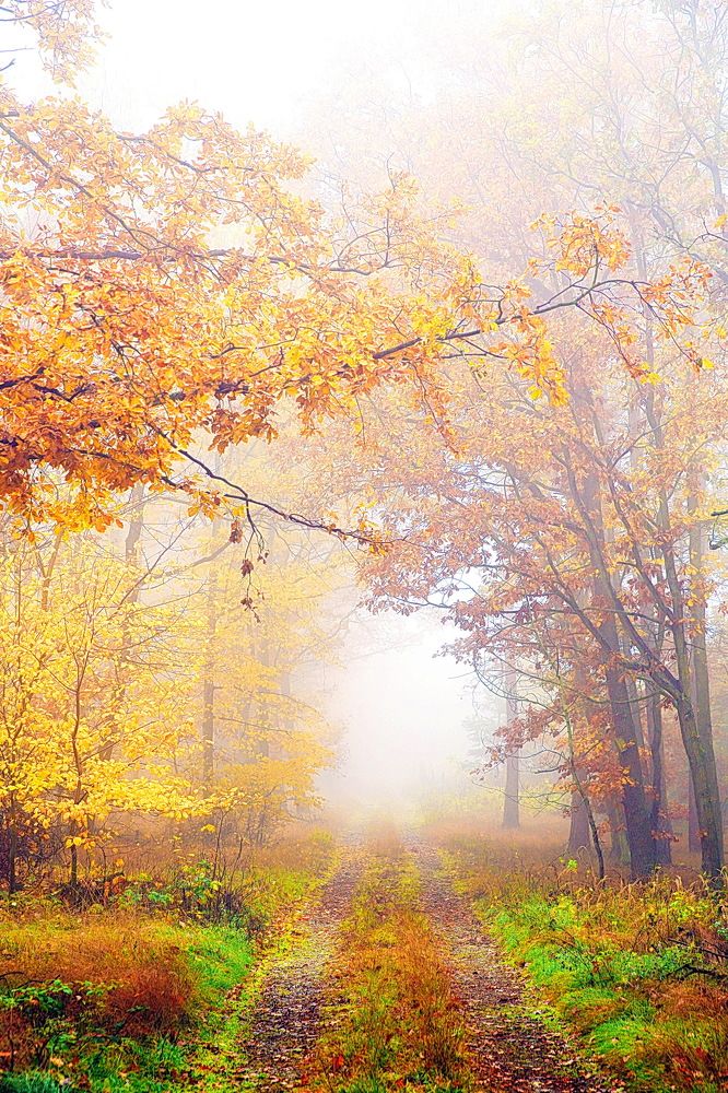 Photograph by Yury Vislaus