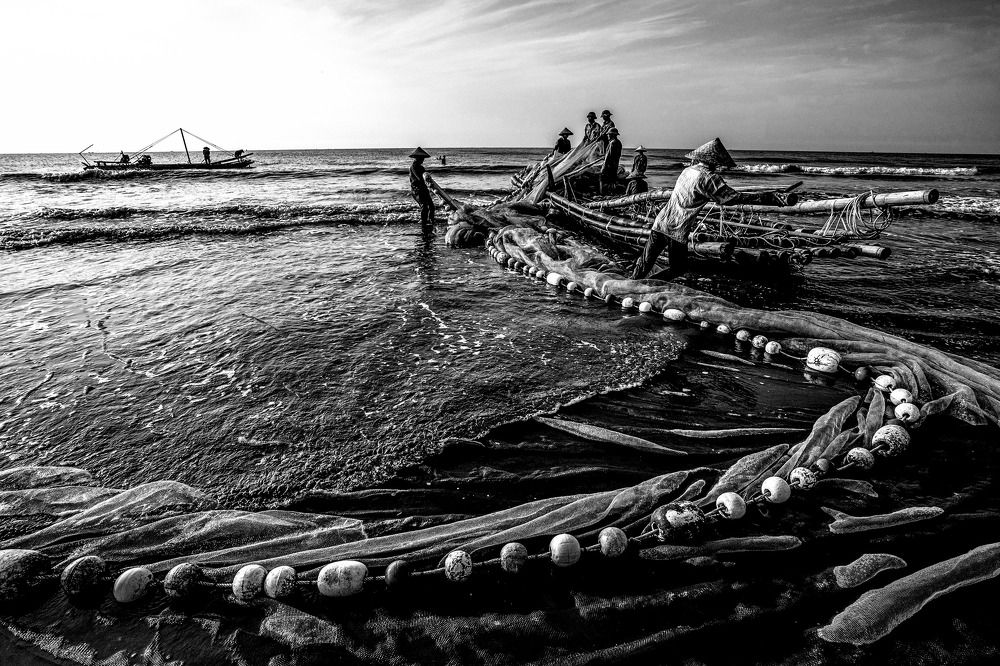 Фотография автора Đỗ Hà