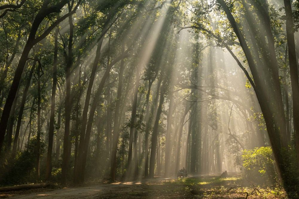 Photograph by Dipanjan Pal