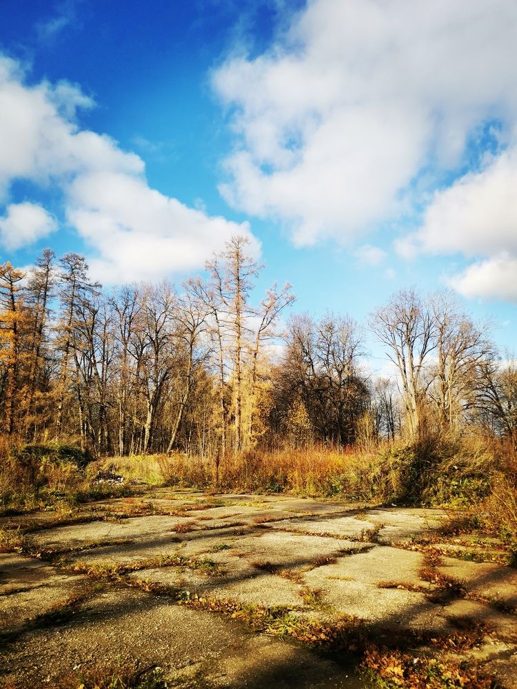 Photograph by Ekaterina Stepanchyk