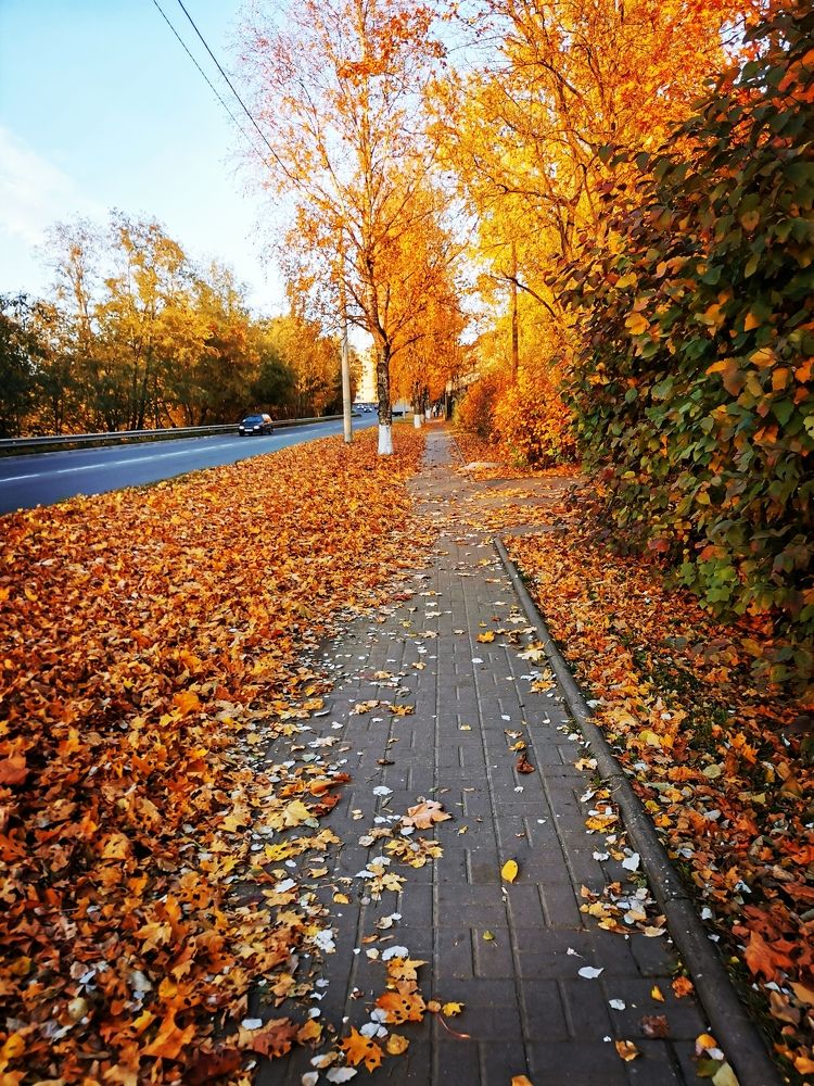 Photograph by Ekaterina Stepanchyk