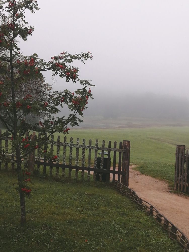 Photograph by Елена Лепешкина