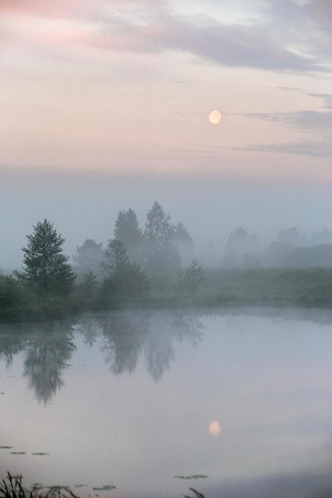 Photograph by Анна Дубровская