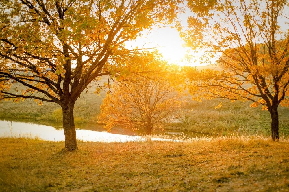 Photograph by Юлия Авдеева