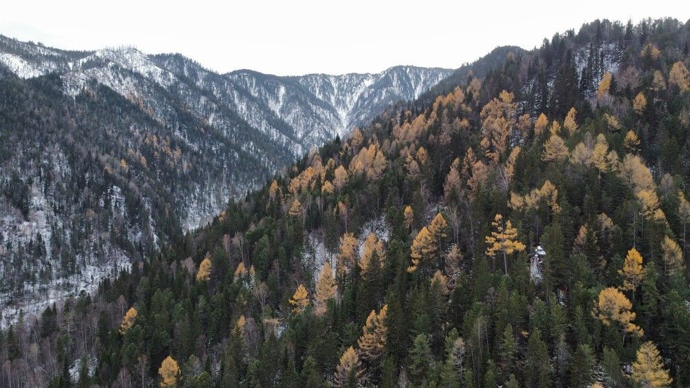 Photograph by Анна Дубровская