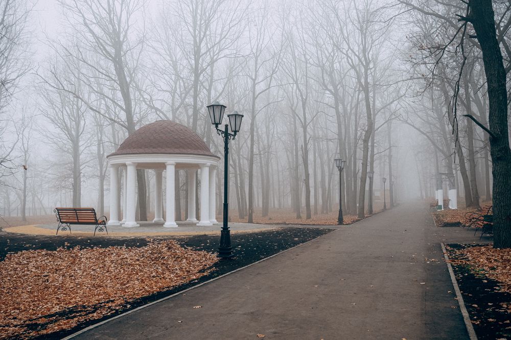 Photograph by Юлия Авдеева