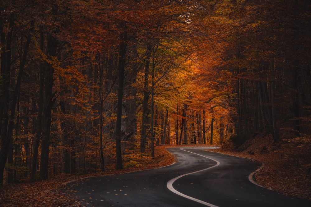 Photograph by Tiberiu Scarlat