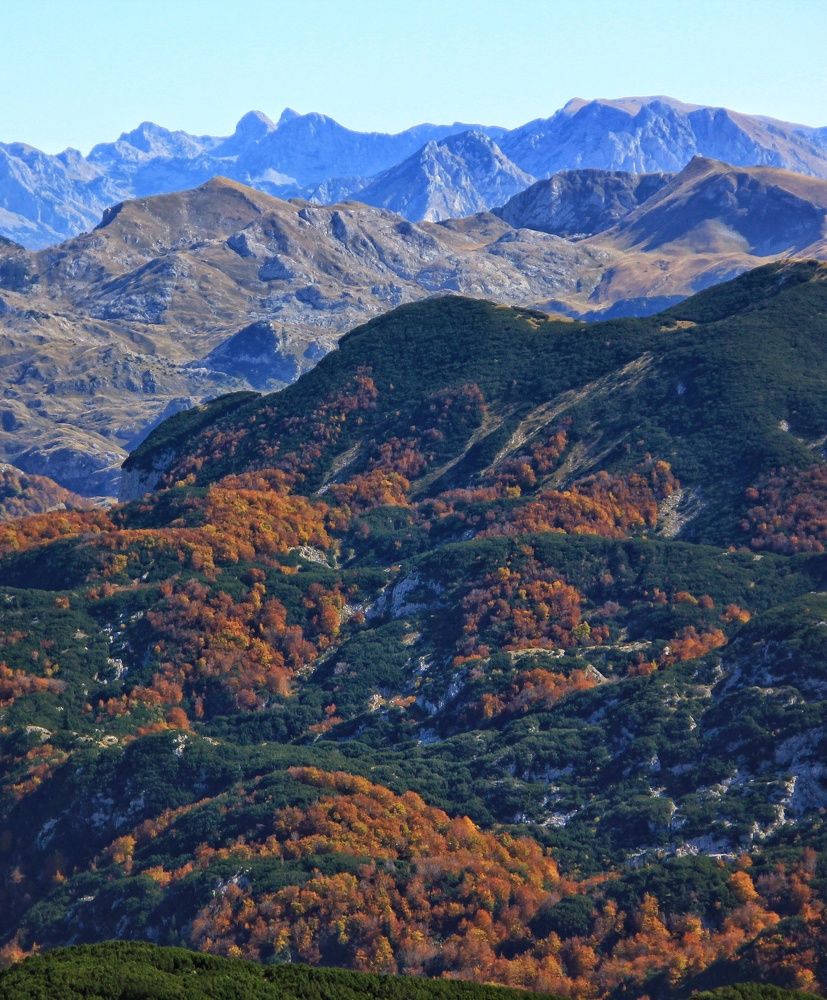 Photograph by Safet isovic