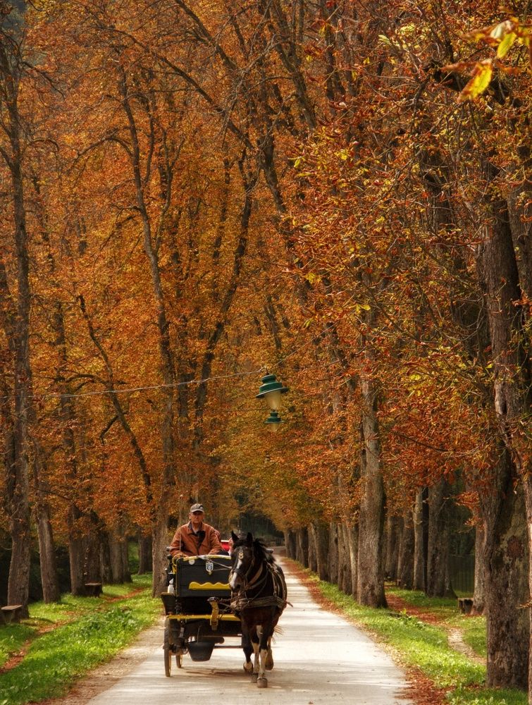 Photograph by Safet isovic