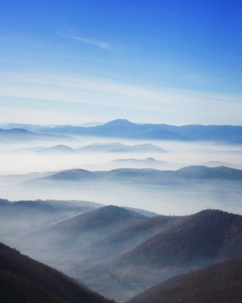 Photograph by Safet isovic