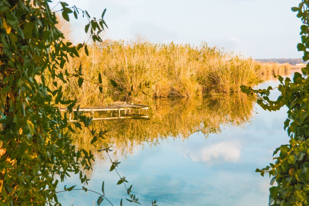 Photograph by Антонина Кузнецова