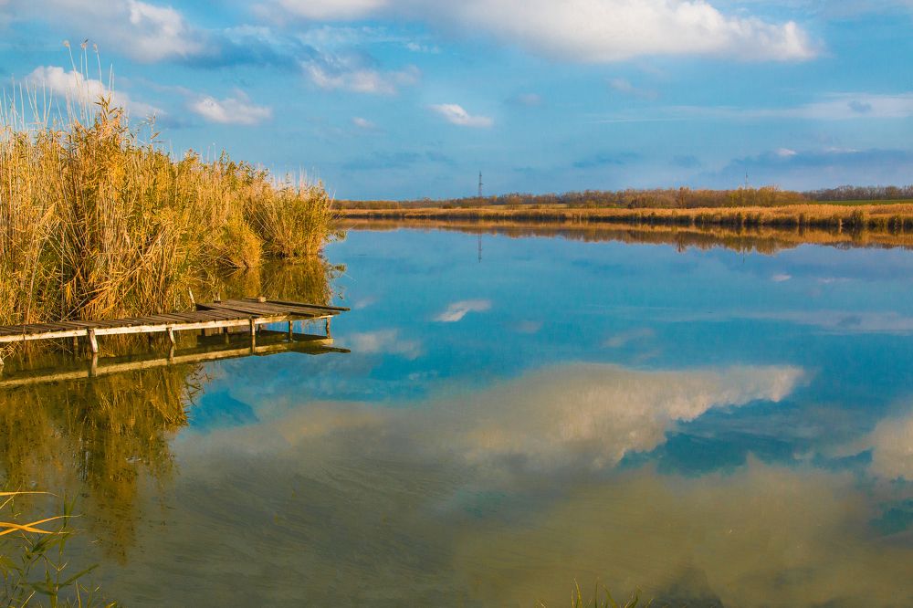 Photograph by Антонина Кузнецова