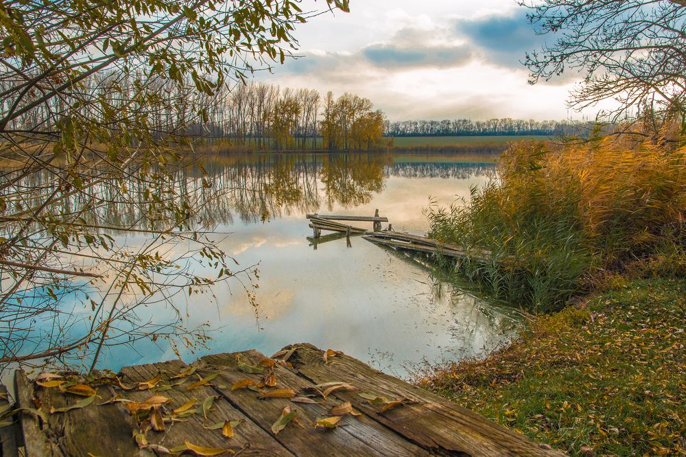 Photograph by Антонина Кузнецова