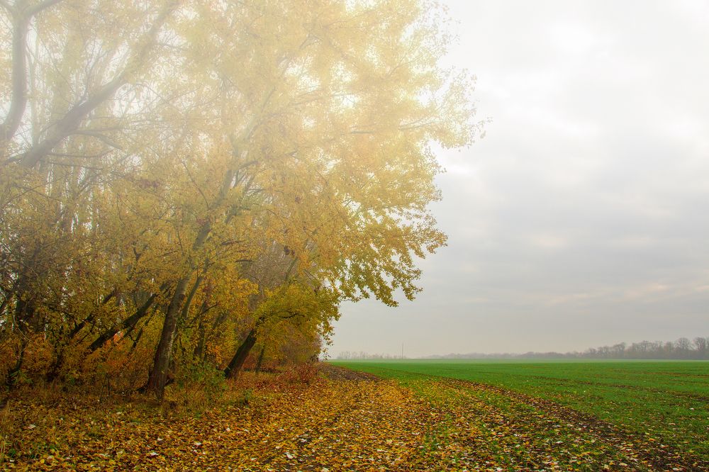 Photograph by Антонина Кузнецова