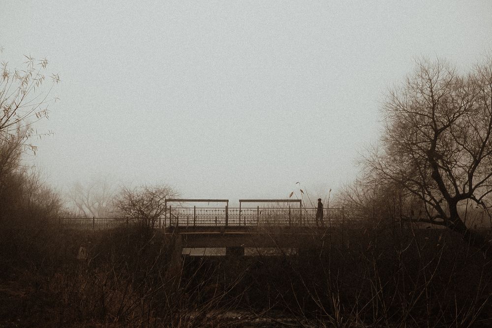 Фотография автора Мария Трасковская