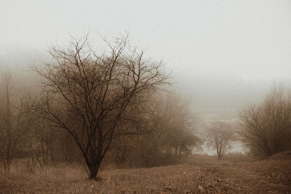 Фотография автора Мария Трасковская