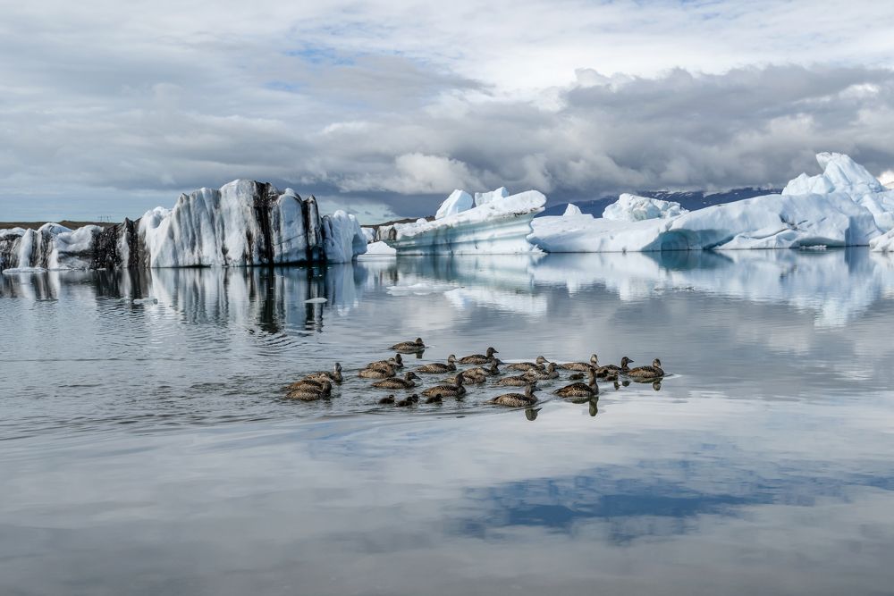 Photograph by Thor Sigurgeirsson