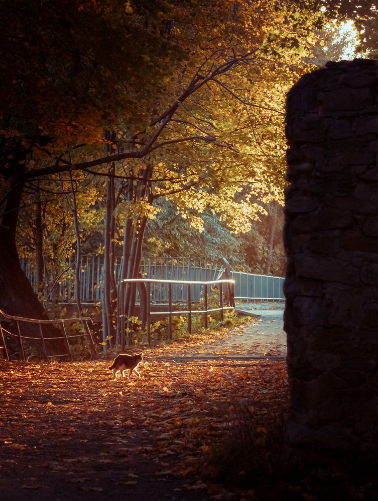 Photograph by Patryk George