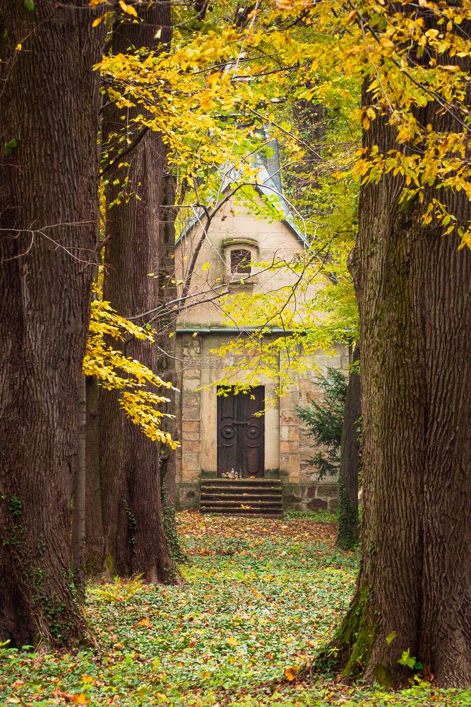 Photograph by Patryk George