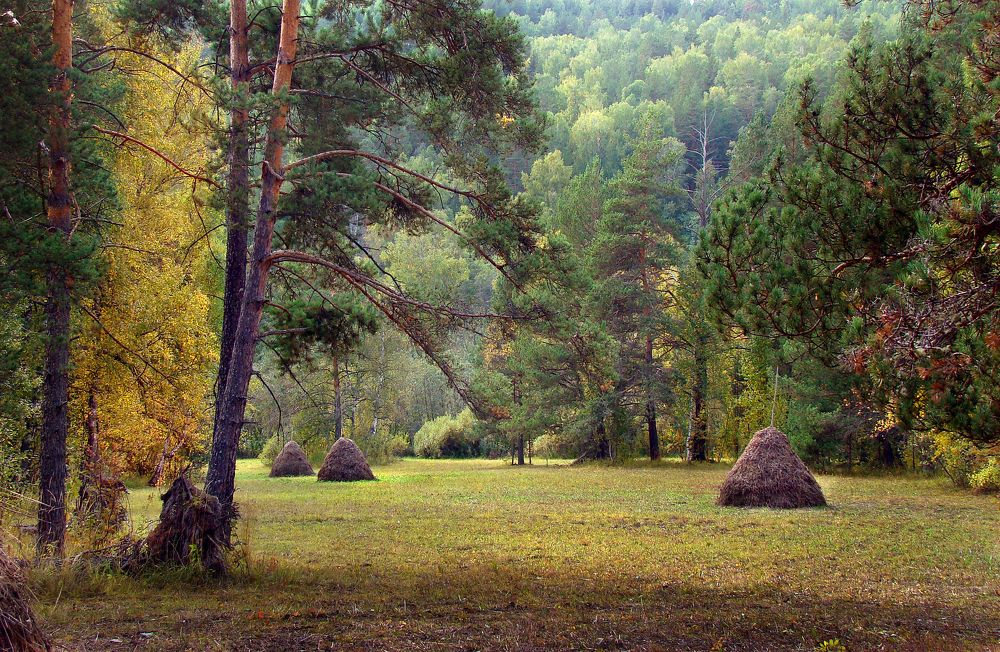 Photograph by Ерёмин Александр