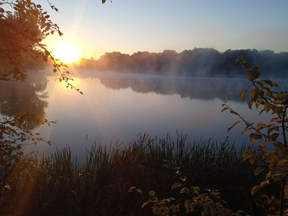 Photo #6716089