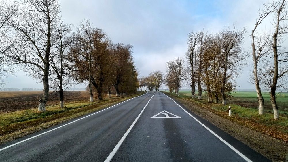 Серая лента дорог