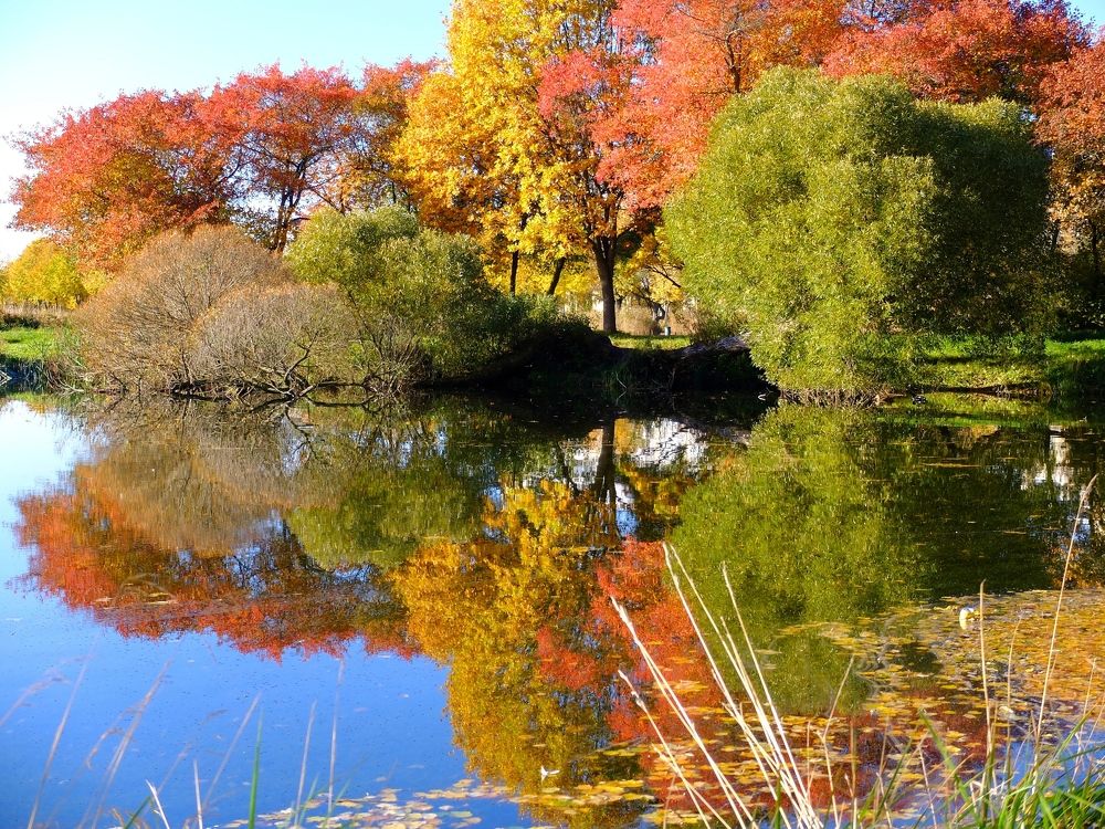 "Палитра осени".