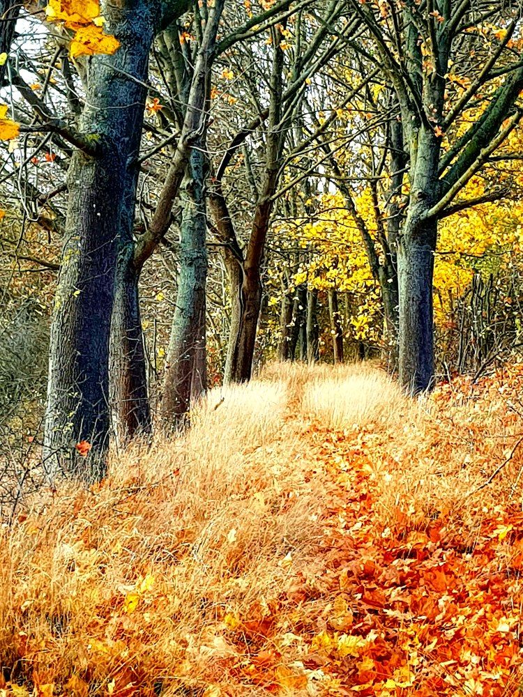 Photograph by Blue Eyes