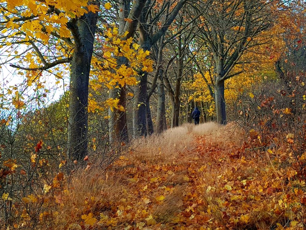 Photograph by Blue Eyes