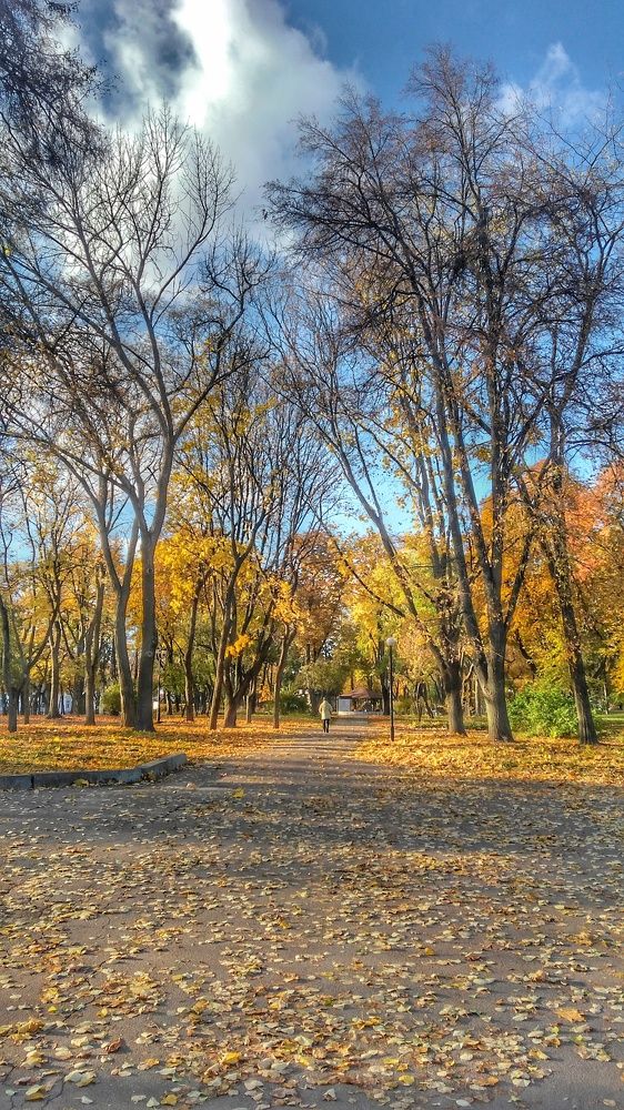 Photograph by Дарья