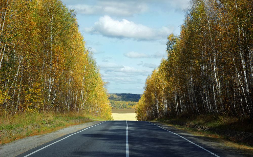 Дорога в осень
