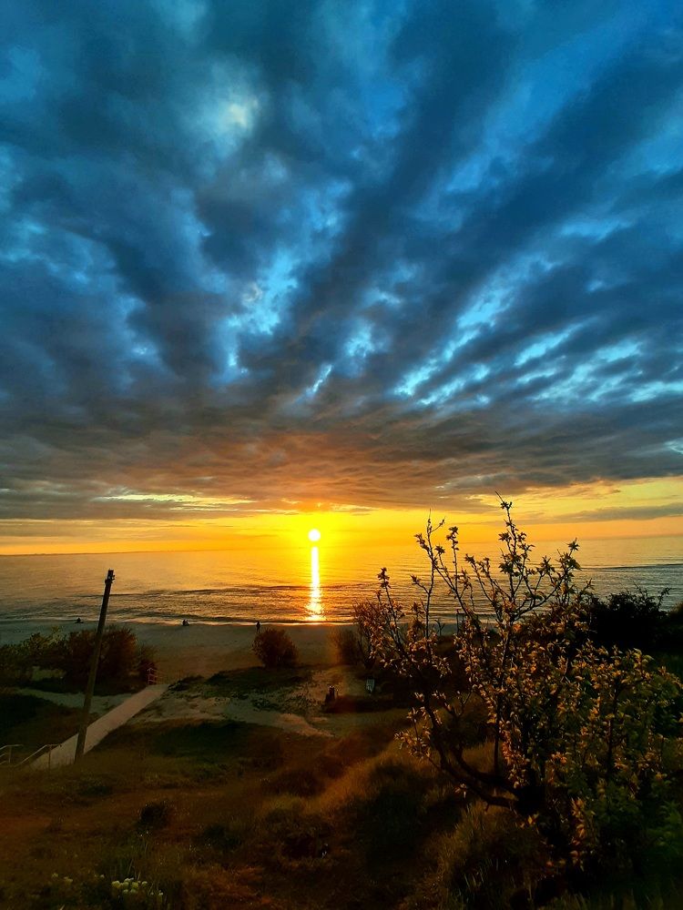 Photograph by Ирина Гнатюк