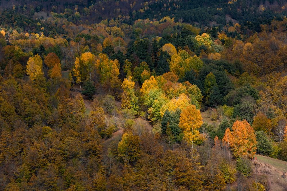 Photograph by NİYAZİ GÜRGEN