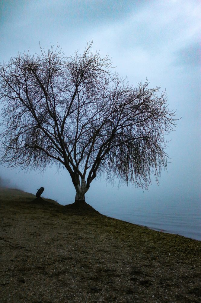 Photograph by Валентина Жиляева