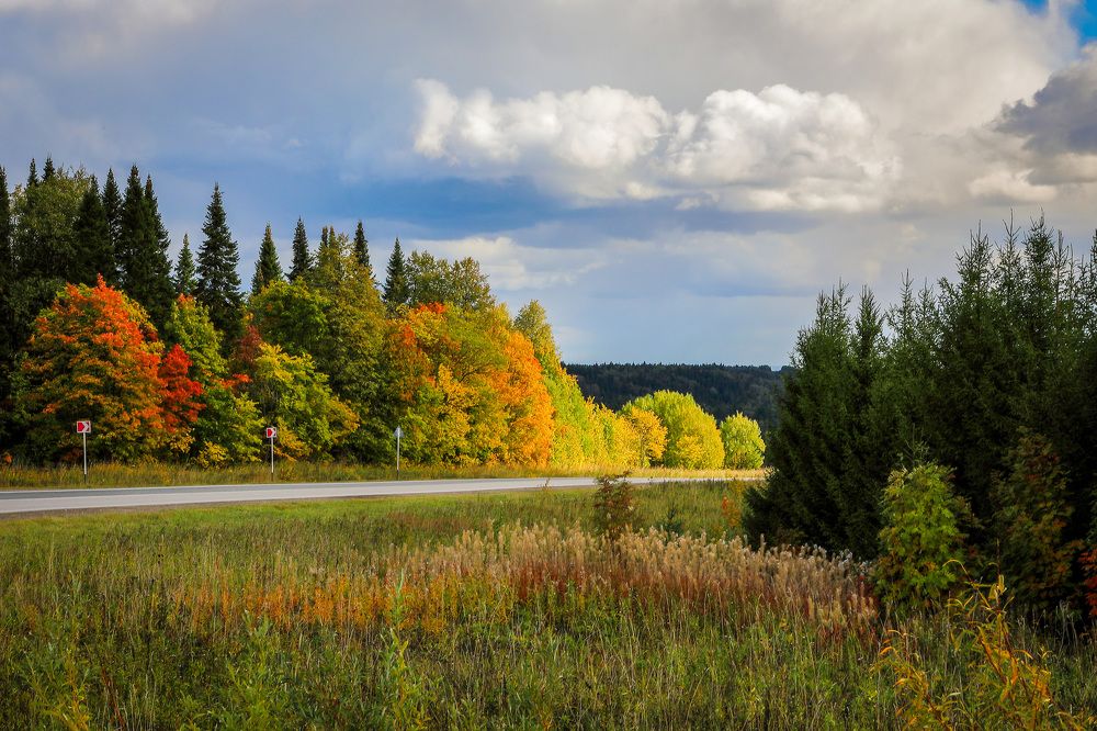 Фотография автора Юрий Фефилов