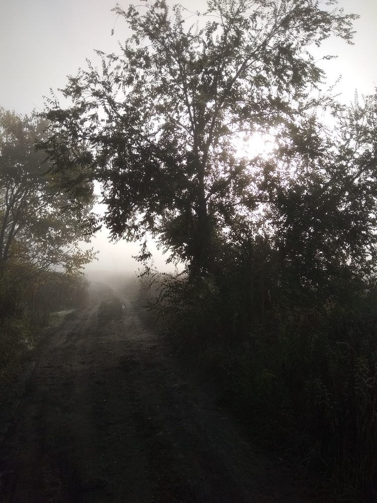 Photo #6716346