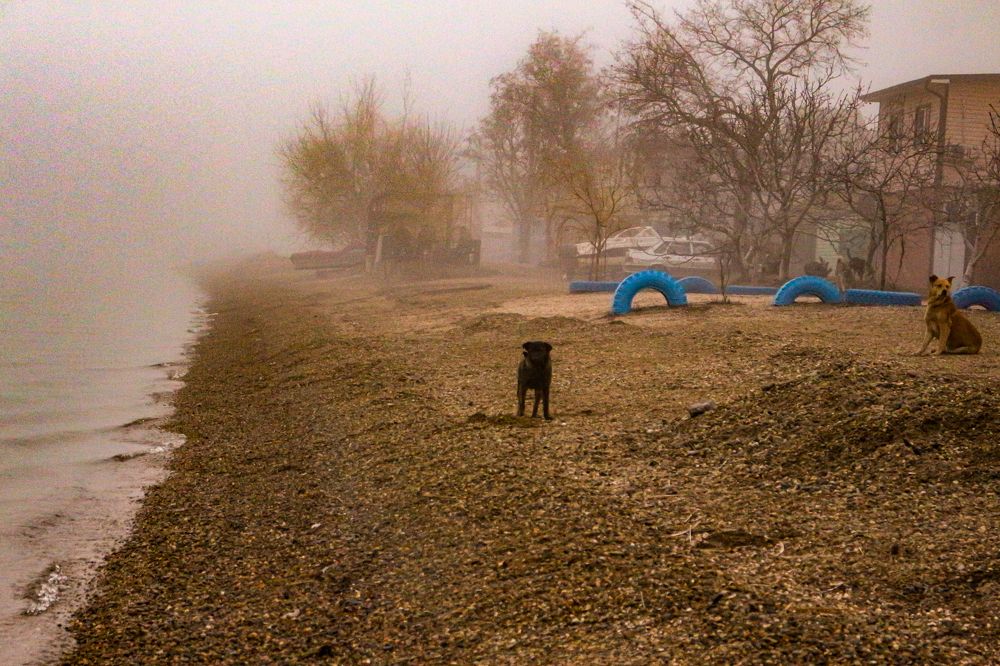 Photograph by Валентина Жиляева